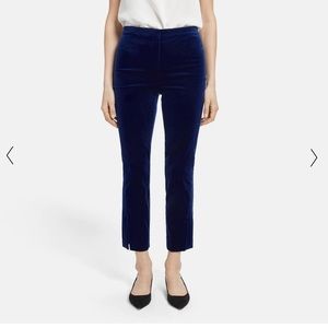 Brand New Theory Velvet Pants